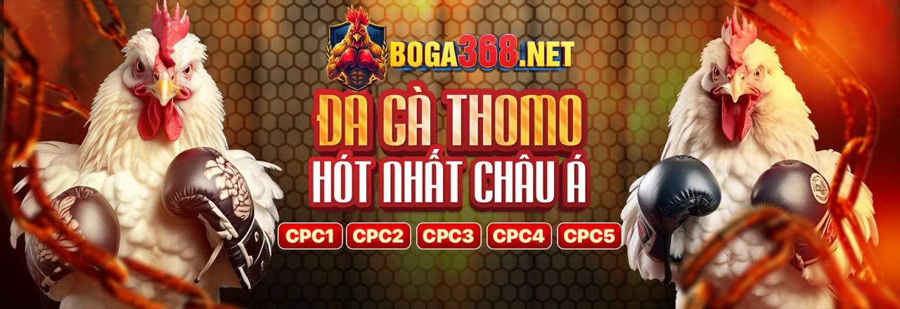 Trận đấu đá gà trực tiếp tại 98win game